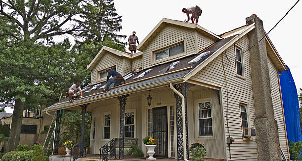 Best Roof Maintenance Services  in Old Greenwich, CT